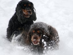 aufgezeichnet_2011-02-08_00012