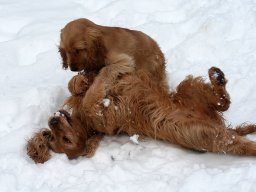 aufgezeichnet_2011-02-08_00047a
