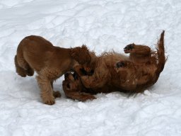 aufgezeichnet_2011-02-08_00054