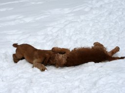 aufgezeichnet_2011-02-08_00055
