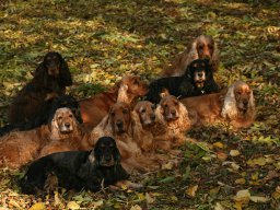 aufgezeichnet_2011-11-2_00134