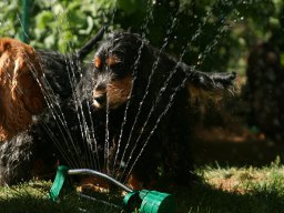 aufgezeichnet_2011-5-30_00002