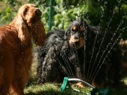 aufgezeichnet_2011-5-30_00003