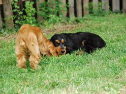 aufgezeichnet_2011-6-13_00143