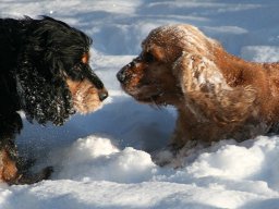 aufgezeichnet_2012-12-8_00009